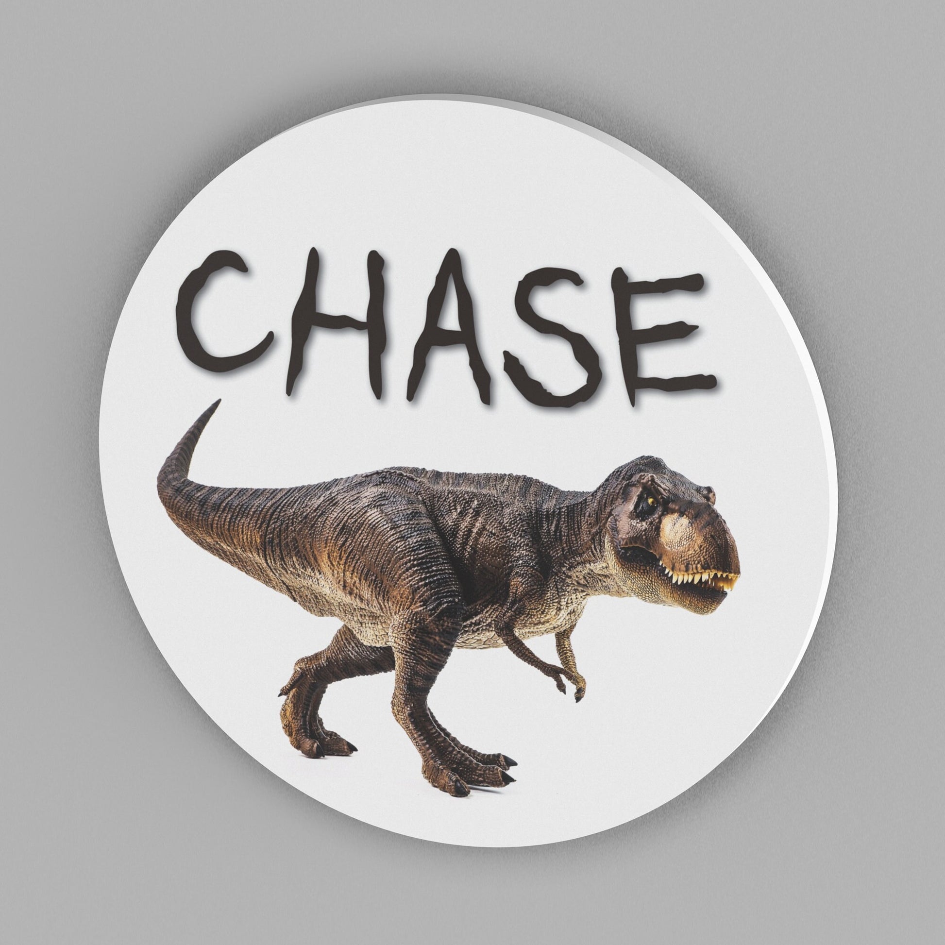 Kids Round Dinosaur Decor Sign, Personalized T-Rex Wall Sign
